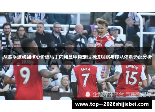 从赛季波动到核心价值马丁内利意甲稳定性演进观察与球队体系适配分析